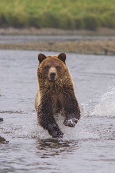 Lenore, Sitka and Cedar fishing