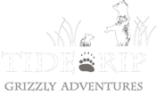 Tide Rip Logo with two bears