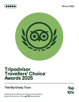 Trip Advisor Award | Tide Rip Grizzly Adventures
