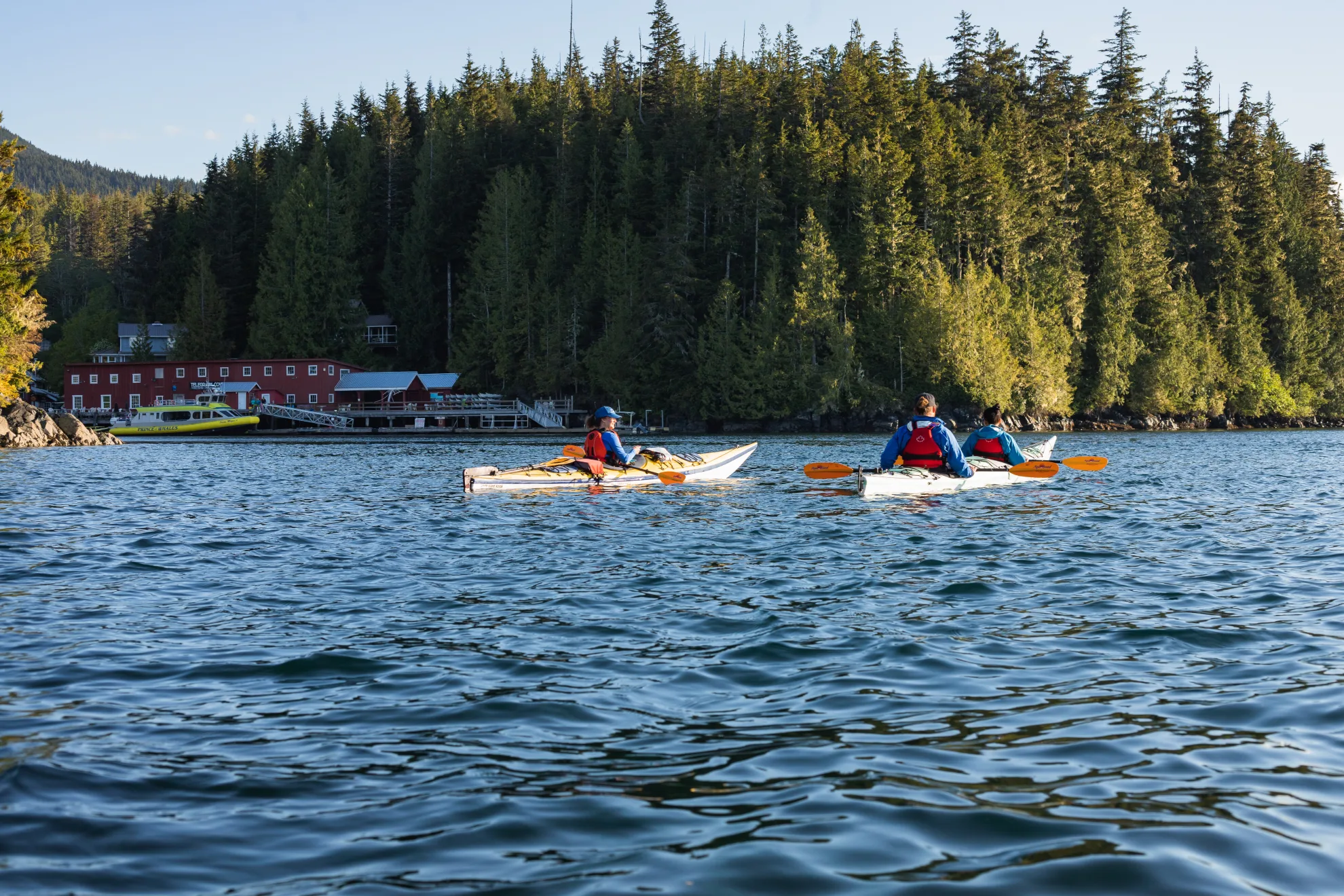 North Island Kayaks | Tide Rip Grizzly Adventures