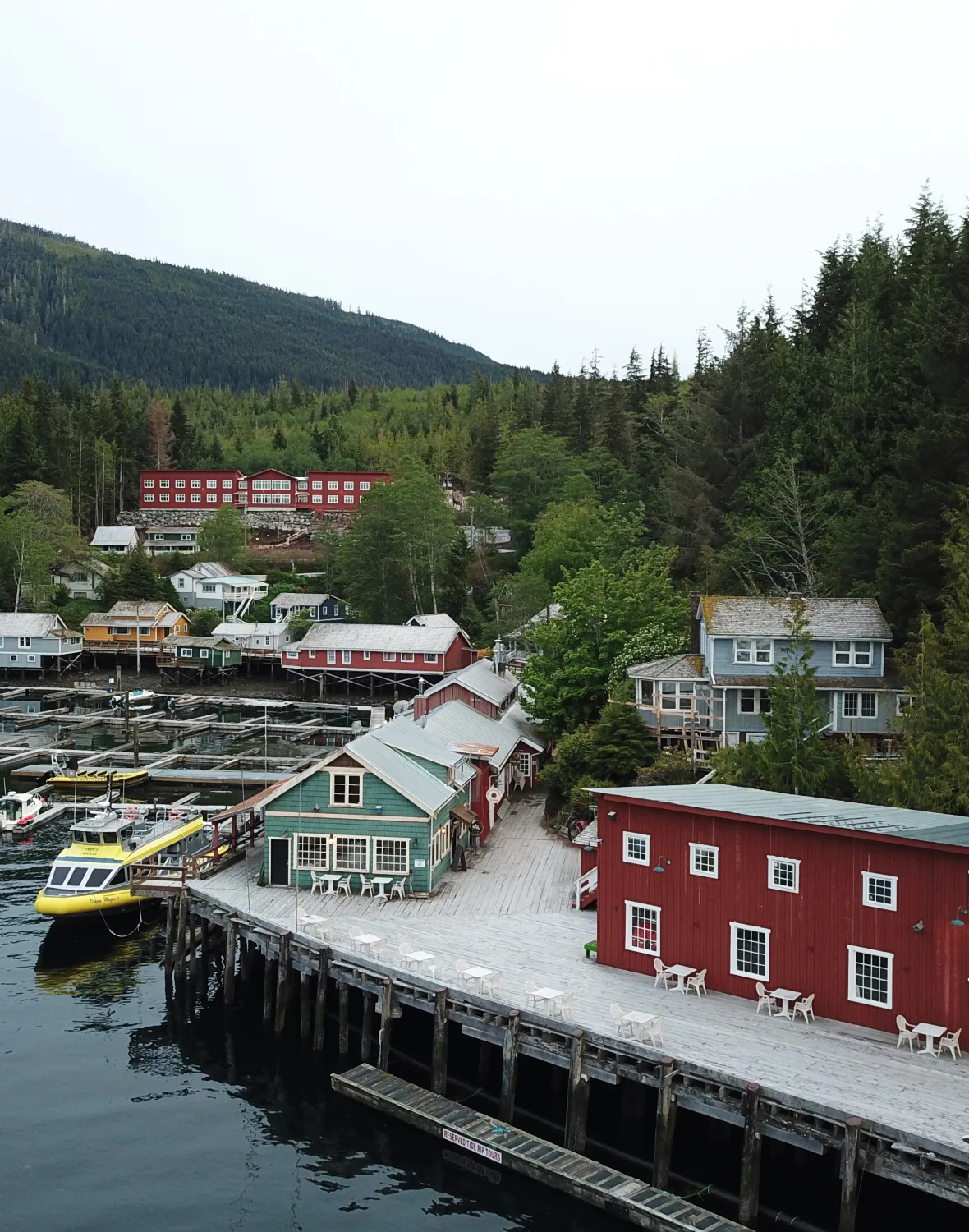 Telegraph Cove | Tide Rip Grizzly Adventures